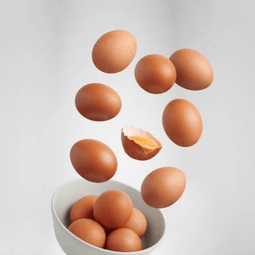 Telur Ayam Nusantara