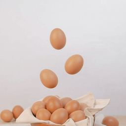 Telur Ayam Nusantara