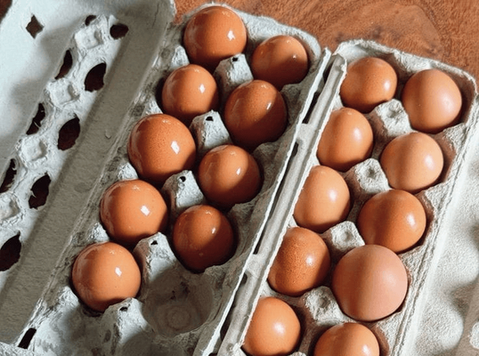 Telur Ayam Nusantara