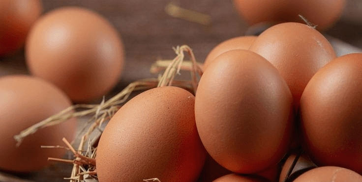 Telur Ayam Nusantara