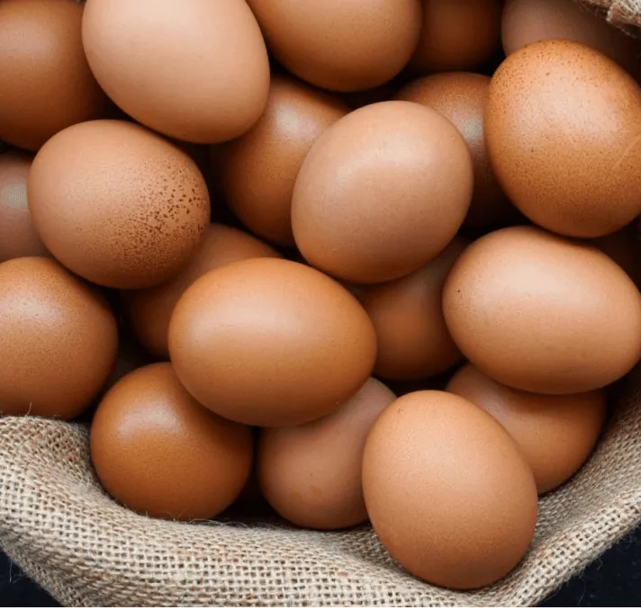 Telur Ayam Nusantara