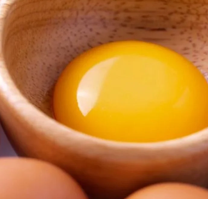 Telur Ayam Nusantara