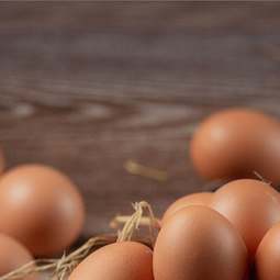 Telur Ayam Nusantara