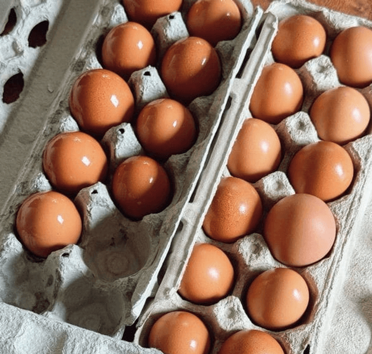 Telur Ayam Nusantara