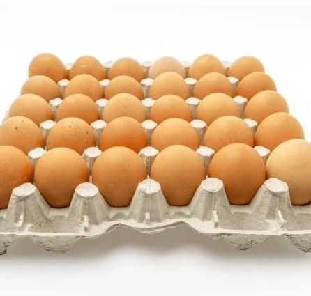 Telur Ayam Nusantara